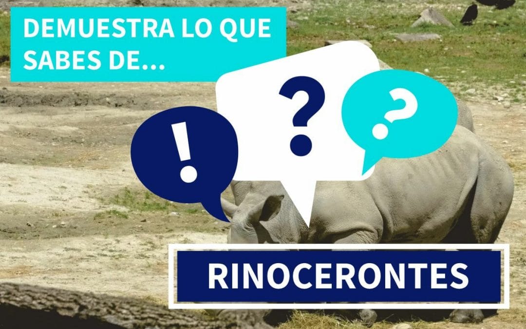 Cuestionario Rinocerontes