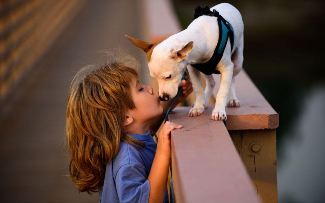 ¿Amor o peligro? Todo lo que necesitas saber sobre los besos con tu mascota