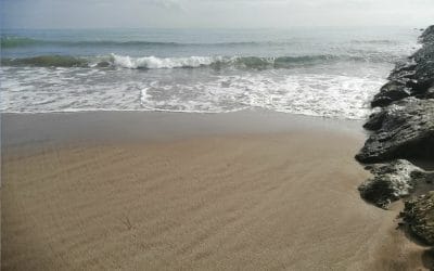 Playas para perros en la Comunidad Valenciana