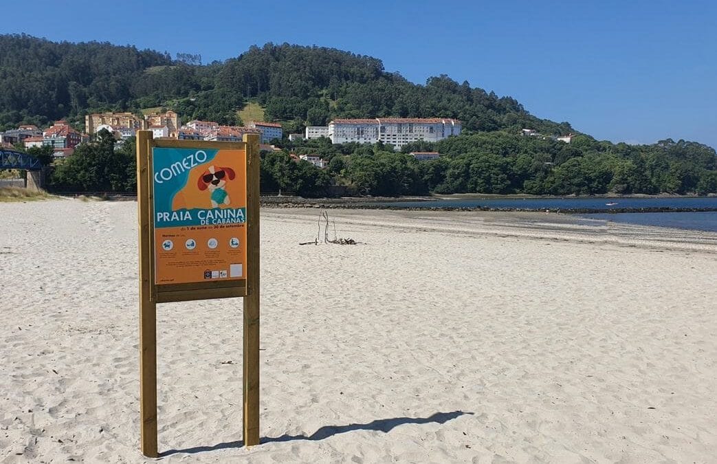 Playas para perros en Galicia